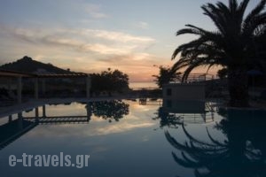 Alma Hotel_lowest prices_in_Hotel_Aegean Islands_Lesvos_Petra
