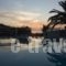 Alma Hotel_lowest prices_in_Hotel_Aegean Islands_Lesvos_Petra