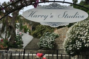 Harry's Studios_travel_packages_in_Ionian Islands_Paxi_Paxi Rest Areas