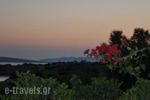 Paros Villas_holidays_in_Villa_Cyclades Islands_Antiparos_Antiparos Rest Areas