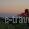 Paros Villas_holidays_in_Villa_Cyclades Islands_Antiparos_Antiparos Rest Areas
