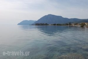 Hotel Antirrio_best deals_Hotel_Central Greece_Aetoloakarnania_Antirio