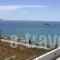 The Grand Beach House_best deals_Hotel_Central Greece_Evia_Karystos