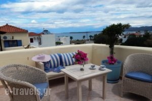 Aquarius Village Agistri_accommodation_in_Hotel_Piraeus Islands - Trizonia_Agistri_Agistri Chora