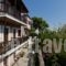 Sofia's Garden Studios_best prices_in_Hotel_Sporades Islands_Skopelos_Skopelos Chora