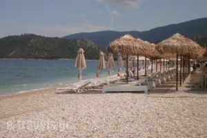 Areto Apartments_lowest prices_in_Apartment_Peloponesse_Argolida_Nafplio