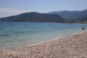 Areto Apartments_best deals_Apartment_Peloponesse_Argolida_Nafplio