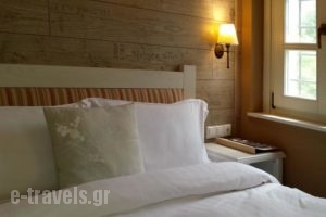 Gamila Rocks Mountain Hotel_best prices_in_Hotel_Epirus_Ioannina_Aristi