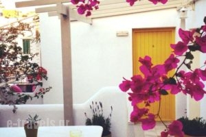 Glaros Studios_accommodation_in_Hotel_Cyclades Islands_Naxos_Naxos Chora