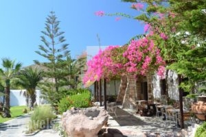 Asteri Hotel_accommodation_in_Hotel_Dodekanessos Islands_Patmos_Skala