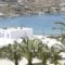 Anixi Studios_accommodation_in_Hotel_Cyclades Islands_Mykonos_Mykonos Chora