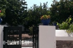 Alexandros House_s __1