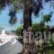 Akis Apartments_best deals_Apartment_Ionian Islands_Corfu_Corfu Rest Areas