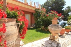 Villa Takis_accommodation_in_Villa_Ionian Islands_Corfu_Corfu Rest Areas