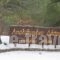 Apolithomeno Dasos Holiday Villas_best deals_Villa_Thraki_Evros_Soufli