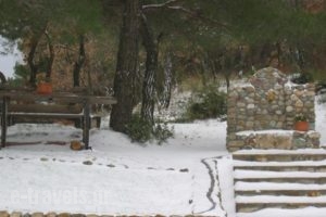 Apolithomeno Dasos Holiday Villas_holidays_in_Villa_Thraki_Evros_Soufli