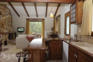 Apolithomeno Dasos Holiday Villas_best prices_in_Villa_Thraki_Evros_Soufli