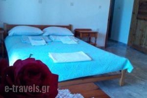 Studio Evridiki_lowest prices_in_Hotel_Aegean Islands_Lesvos_Petra