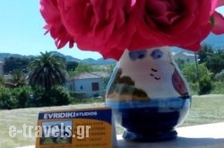 Studio Evridiki_s __1