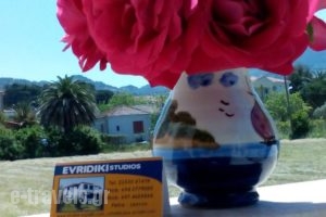 Studio Evridiki_accommodation_in_Hotel_Aegean Islands_Lesvos_Petra