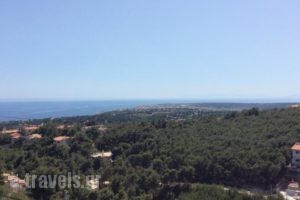 Villa Isida_accommodation_in_Villa_Central Greece_Attica_Rafina