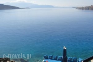 Admiral'S House_accommodation_in_Hotel_Dodekanessos Islands_Halki_Halki Chora