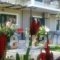 Danai_holidays_in_Hotel_Ionian Islands_Lefkada_Lefkada Rest Areas