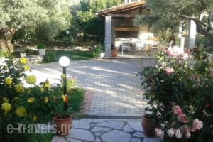 Danai_accommodation_in_Hotel_Ionian Islands_Lefkada_Lefkada Rest Areas