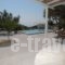 Mykonian vacation villa_accommodation_in_Villa_Cyclades Islands_Mykonos_Ornos