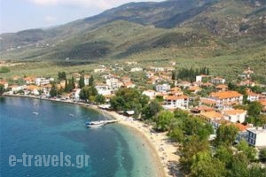 Enalion_best deals_Hotel_Thessaly_Magnesia_Kala Nera