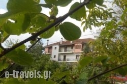 Traditional Guesthouse Marousio_s __1