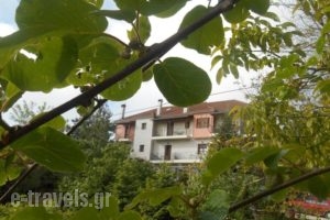 Traditional Guesthouse Marousio_accommodation_in_Hotel_Epirus_Arta_Arta City