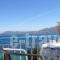 Pantheon Studios_accommodation_in_Hotel_Ionian Islands_Lefkada_Perigiali