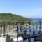 Villa Irene_best prices_in_Villa_Macedonia_Kavala_Kavala City