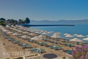 Palmariva Beach Bomo Club_best deals_Hotel_Central Greece_Evia_Eretria