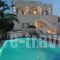 Stelios Place_best deals_Hotel_Cyclades Islands_Sandorini_Emborio