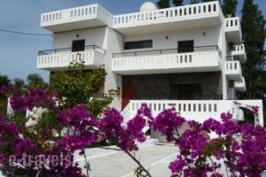 Zourpos Studios & Apartments_holidays_in_Apartment_Crete_Chania_Sfakia