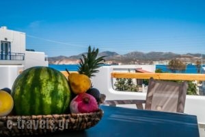 Vilos Suites_accommodation_in_Hotel_Cyclades Islands_Milos_Apollonia