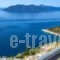 Drivas Apartments_best deals_Apartment_Central Greece_Evia_Istiea