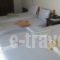 Felitsia Apartments & Studios_lowest prices_in_Apartment_Thessaly_Magnesia_Mouresi