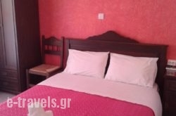 Pansion Nikos_s __1