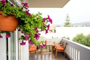 Harmony Apartments_best deals_Apartment_Crete_Chania_Galatas
