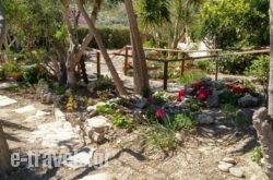 Villa Lofos Wood & Stone_s __1
