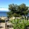 Hotel Elektra_holidays_in_Hotel_Aegean Islands_Thassos_Thassos Chora