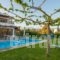 Villa Muse_accommodation_in_Villa_Crete_Heraklion_Tymbaki