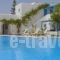 Aggeliki'S Diamond_best prices_in_Hotel_Cyclades Islands_Naxos_Agia Anna