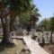 Myrto's Home_best deals_Hotel_Central Greece_Attica_Anabyssos