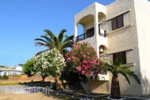 Andy's Gardens_holidays_in_Hotel_Crete_Chania_Kissamos