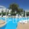 Palm Beach Hotel - Adults Only_best deals_Hotel_Dodekanessos Islands_Kos_Kos Chora