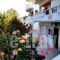 Villa Georgia_travel_packages_in_Peloponesse_Korinthia_Agioi Theodori